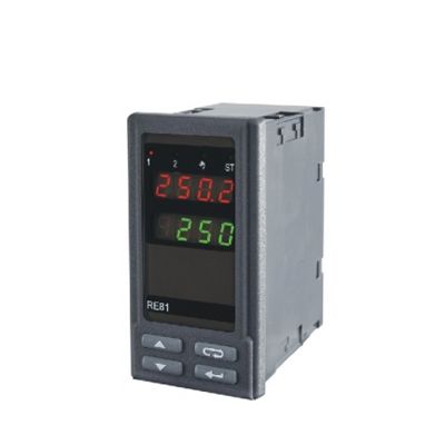 RE 81 02100P0 Regulator